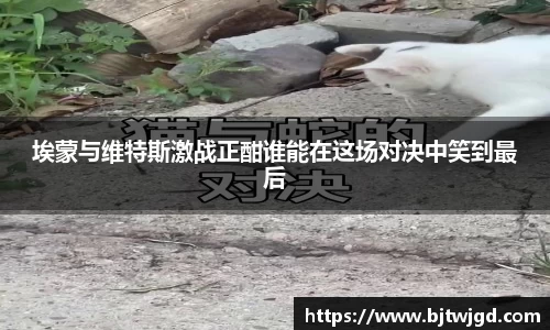 埃蒙与维特斯激战正酣谁能在这场对决中笑到最后